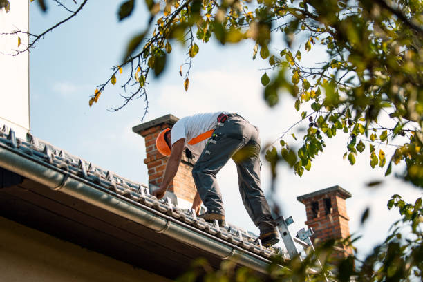 Quick and Trustworthy Emergency Roof Repair Services in New Prague, MN