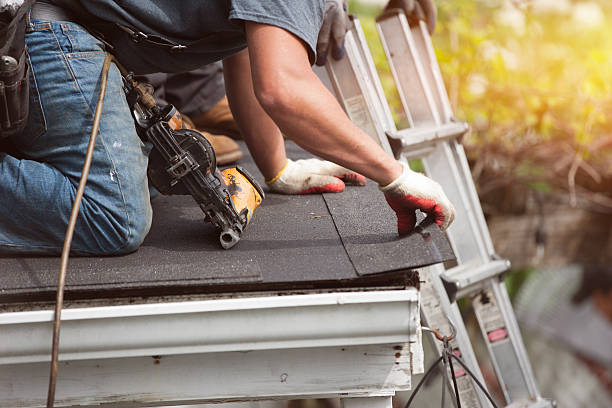 Roof Gutter Cleaning in New Prague, MN